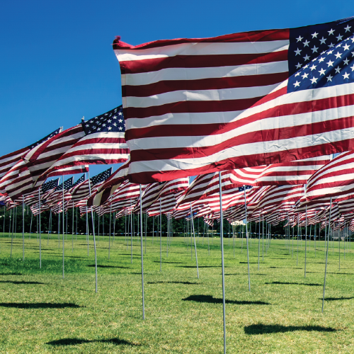 Identity Protection PINs Help Safeguard Taxpayers
